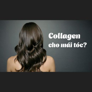 Collagen có tác dụng gì với tóc?