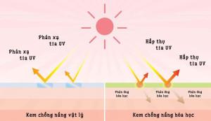 Nên chọn kem chống nắng vật lý hay hóa học?