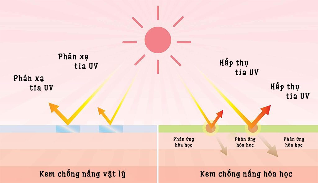 Nên chọn kem chống nắng vật lý hay hóa học?